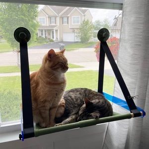 Teniinet cat hammock. Still inside box with directions for assembling!